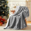 Acekool Heated Throw Blanket, Plush Waffle Design, 5 Heat Levels, Auto Off, Machine Washable - 2 of 4