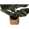 Monarch Specialties Artificial Plant  Tall Fiddle Tree Indoor Faux Fake Floor Greenery Potted Real Touch Decorative Green Leaves Beige Woven Basket - 3 of 4