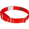 Country Brook Petz Heavyduty Nylon Martingale with Premium Buckle - 3 of 4