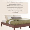Bear Platform Bed (King) - 4 of 4