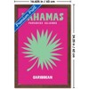 Trends International Reinders: Destinations - Destination Bahamas Framed Wall Poster Prints - 3 of 4