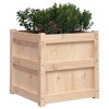 vidaXL Garden Planter 19.7"x19.7"x19.7" Solid Wood Pine - 4 of 4
