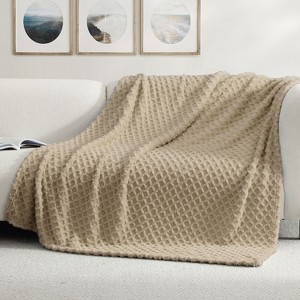 Swift Home | 50" x 70" Jacquard Patterned Plush Throw Blanket - 1 of 4