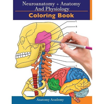 Neuroanatomy + Anatomy and Physiology Coloring Book - by  Clement Harrison (Paperback)