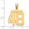 Black Bow Jewelry 14k Yellow Gold, Athletic Collection, Large Polished Number 48 Pendant - 2 of 3
