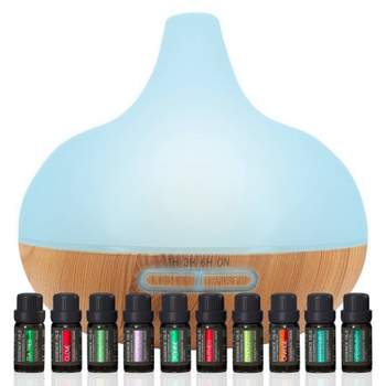 East Creek 4oz Empty Refillable Glass Aromatherapy Diffuser