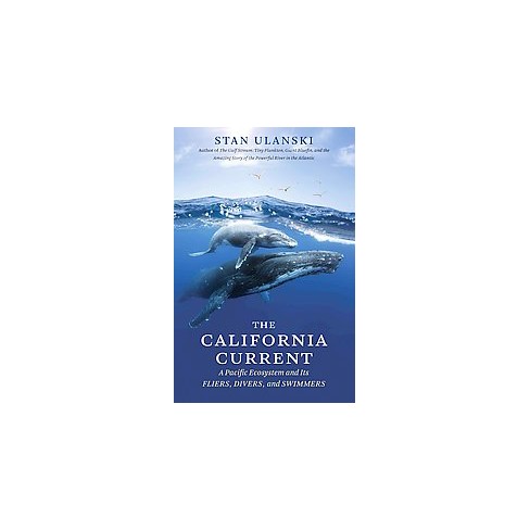 California Current A Pacific Ecosystem And Its Fliers
