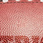 new england patriots