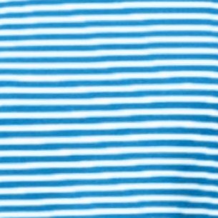 pool blue feeder stripe