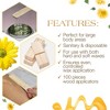 Gigi Accu Edge Applicators - Large - Contains 100 (PACK OF 2) - 3 of 4
