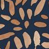 Toasted Almond and Navy