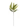 Melrose Varigated Fern Foliage Spray (Set of 6) - 3 of 3
