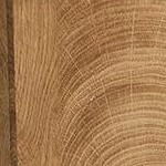 1.2m annual ring oak