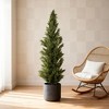 Racxily Artificial Cypress Tree with Black Pot, UV Resistant Fake Topiary Plant for Indoor Outdoor, Garden or Entryway Decoration, 1pc/set - 3 of 4