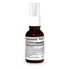 Wellness Colloidal Silver 30 ppm Throat Spray by Source Naturals, Inc.  -  1 oz Spray - 2 of 3