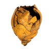 Vickerman Cacho Pods, Dried - image 3 of 4