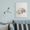 Stupell Industries Scruffy Dog Laying Down Painting Canvas Art - 3 of 4