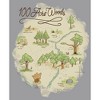 Boy's Winnie the Pooh 100 Acre Woods Map Pull Over Hoodie - 2 of 4