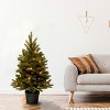 National Tree Company 3' Pre-Lit LED Jersey Frasier Fir Artificial Pencil Christmas Tree 35ct Warm White - 3 of 3