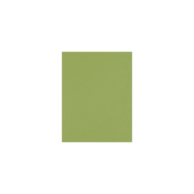 Lux Paper 8.5 x 11 inch 80 lbs. Avocado 500/Pack 81211-P-102-500