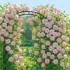 Heavy Duty Iron Garden Trellis Arch, Weather-Resistant with Ground Stakes for Climbing Plants, Patio, Lawn, Pathway, Wedding, or Party Decor - 3 of 4