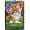 Trends International Keith Kimberlin - Maine Coon Kitten Framed Wall Poster Prints - 3 of 4