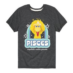 Boys' - Sesame Street - Pisces Big Bird Short Sleeve Graphic T-Shirt - 1 of 4