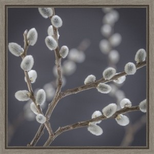 Amanti Art Willows II by Jaynes Gallery Danita Delimont Canvas Wall Art Print Framed 16 x 16-in. - 1 of 4