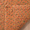 Braided BRD166 Hand Woven Rug - Safavieh - 3 of 3