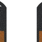 tennessee volunteers