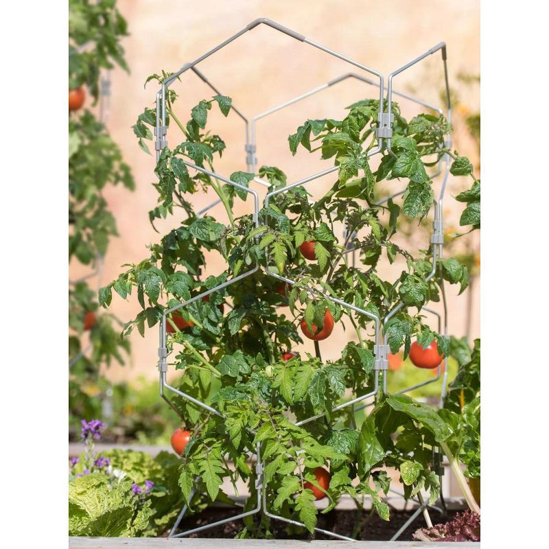 Gardeners Supply Company Vertex Lifetime Tomato Cage Plant Support | Sturdy Aluminum Frame Rustproof Tomato Trellis and Protection Cages For Tomatoes, 1 of 6