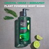 Dove Men+Care Body Wash with Plant-Based Moisturizers - Coastal Cedar & Bergamot - 26 fl oz - 3 of 4