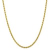 Black Bow Jewelry 4mm 10k Yellow Gold Diamond Cut Solid Rope Chain Necklace - 3 of 4