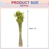 Unique Bargains Decorative Natural Dried Floral Bunny Tail Artificial Plants 120 Pcs - 2 of 4