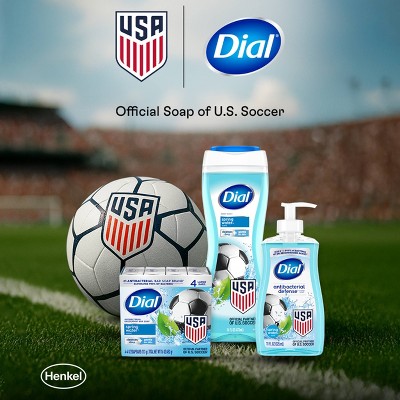 Dial Antibacterial Defense Liquid Hand Soap - White Tea - 11 fl oz/4pk