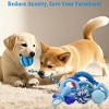 Itopfox 20 Pack Puppy Chew Toys - Blue Dog Teething Toys for Puppies, Teething Rings and Durable Ropes, Rubber Toy Bundle for Small Dogs - 2 of 4