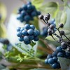Sullivans 20" Artificial Mixed Leaf Blueberry Bush - 2 of 2