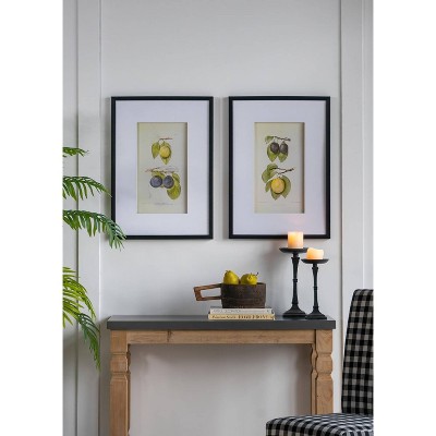 Set of 2 Black Framed Botanical Fruit Wall Art