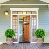 Tangkula 2 PCS Artificial Lavender Topiary Balls 12 Inch Faux Hanging Plant Balls w/ Flowers - 3 of 4