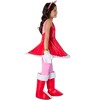 Rubies Girls' Sonic the Hedgehog Amy Rose Costume Set - 2 of 4