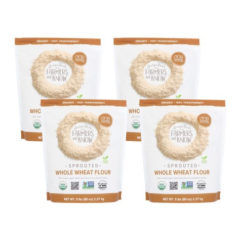 One Degree Organic Foods Sprouted Whole Wheat Flour - Case Of 4/80 Oz : Target