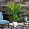Nearly Natural 62-in Hawaii Palm Artificial Tree in White Planter - 3 of 3