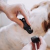 HOOZA Dog Collar - Dog Outdoor Accessory, Pet Safety - Reflective, Magnetic Quick Clip - 3 of 4