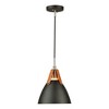 Artcraft Lighting Tote 1 - Light Pendant in  Black - 3 of 4