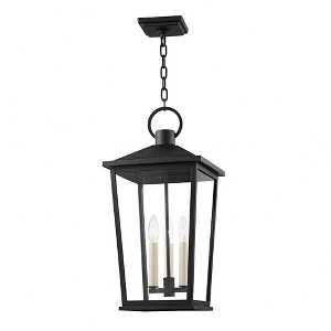 Troy Lighting Soren 3 - Light Pendant in  Black Clear Shade - 1 of 1