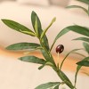 Kazeila 5-7FT Artificial Olive Tree with Round White Planter, Pre Potted Fake Plant for Home Decor - 3 of 4