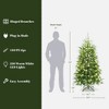 LuxenHome 6Ft Pre-Lit Green Full Artificial Cedar Christmas Tree with Metal Stand - 4 of 4