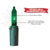 100ct LED Sylvania Stay-lit Incandescent Look Miniature String Light Red/White/Green with Green Wire - 3 of 3