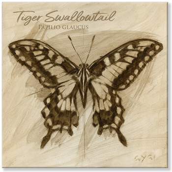 Sullivans Darren Gygi Sepia Tiger Swallowtail Giclee Wall Art, Gallery Wrapped, Handcrafted in USA, Wall Art, Wall Decor, Home Décor, Handed Painted