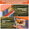 Coucheta Chicken Nesting Boxes - Available in Multiple Styles (Bracket Leg/Two-Tier/Wall Mount) & Compartments (6/8/10) for Easy Egg Collection. - 3 of 4